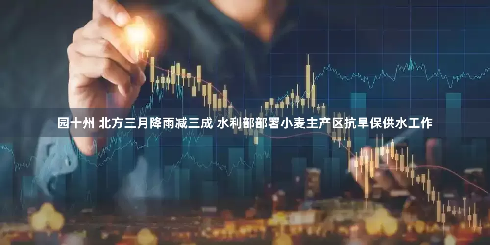 园十州 北方三月降雨减三成 水利部部署小麦主产区抗旱保供水工作