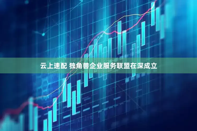 云上速配 独角兽企业服务联盟在深成立