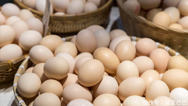 金牛在线 油价“跌猛了”！8月20日调价后92/95号汽油价格，蛋价大涨28%后“遇冷”！